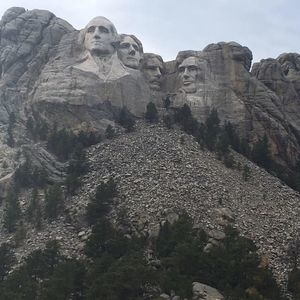 Meet your Posher, Carter